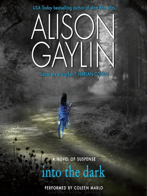 Title details for Into the Dark by Alison Gaylin - Wait list